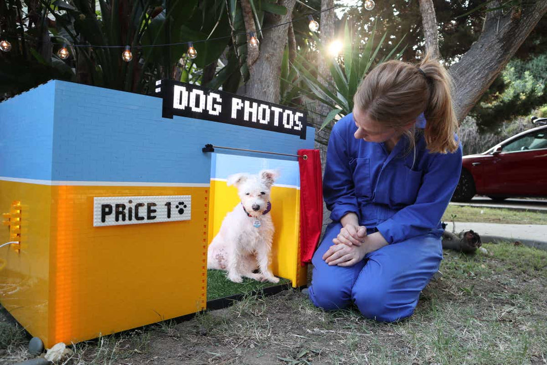 lego dog photo selfie