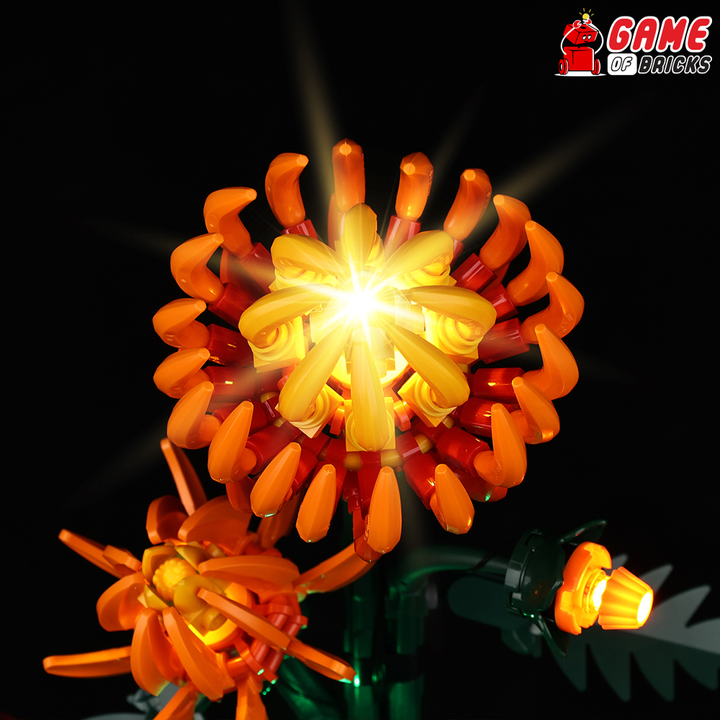 LEGO Chrysanthemum 10368 Light Kit