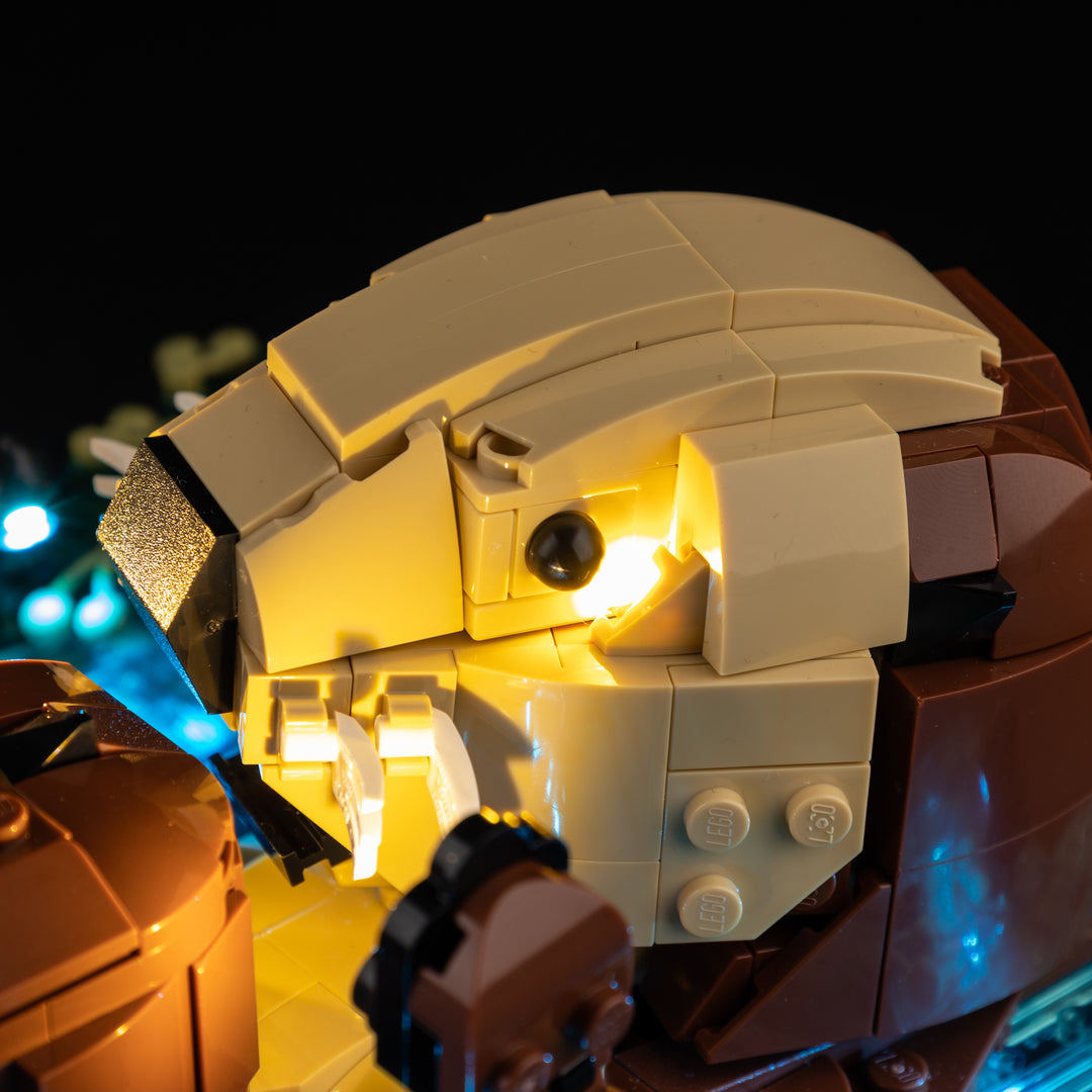 LEGO® Floating Sea Otters 21366 Light Kit