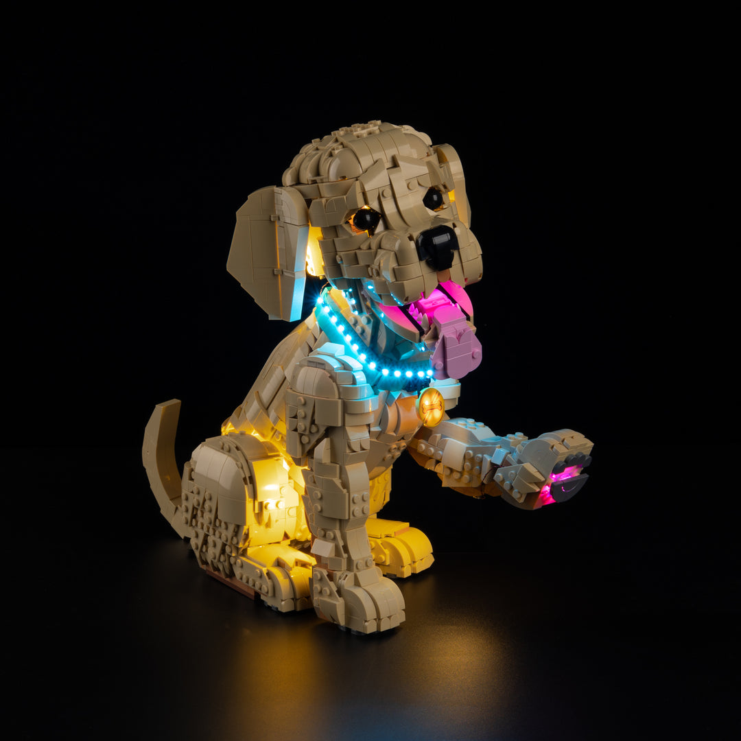 LEGO® Golden Retriever Puppy 11384 Light Kit
